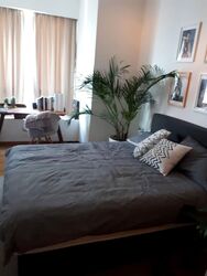 One Shenton (D1), Apartment #583095981